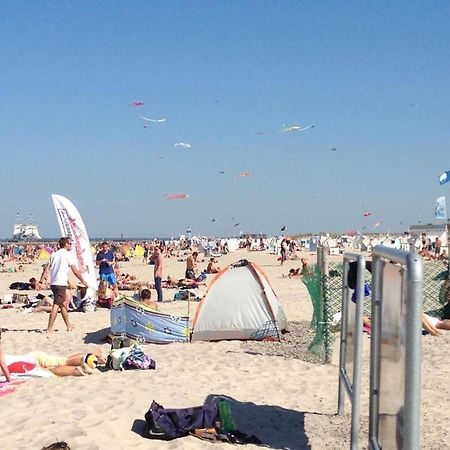 Seepferdchen Warnemuende Rostock Luaran gambar